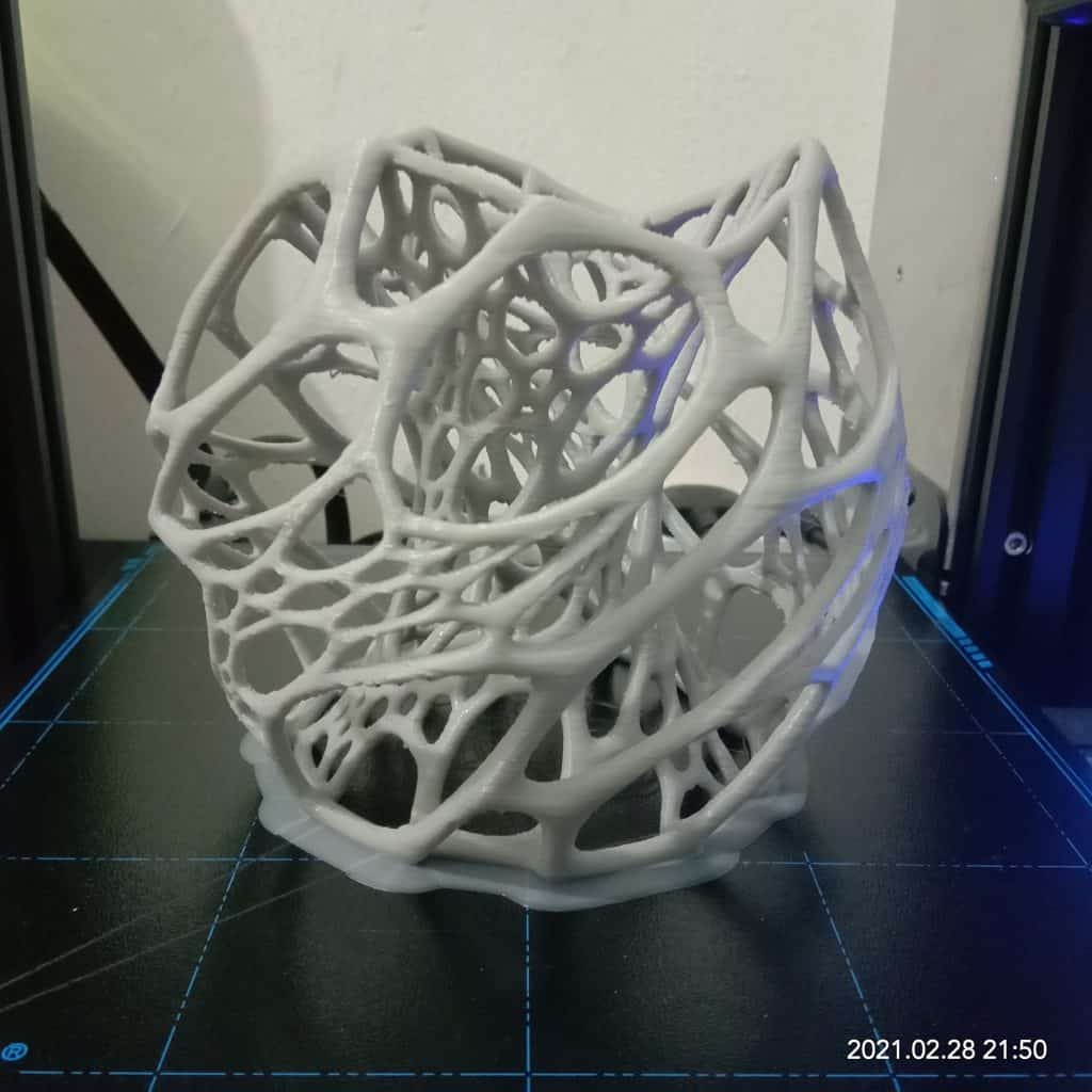 Read more about the article 3D Printing Extreme Challenge – Cellular Lamp